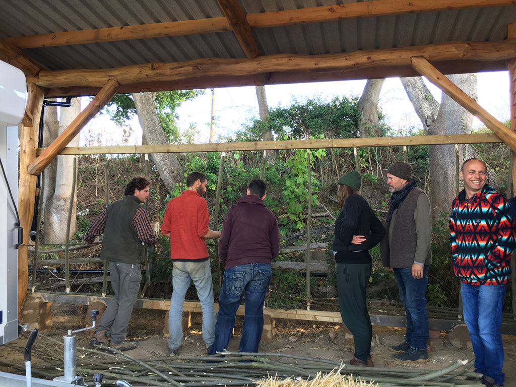 Digital Landscaping Guide - How to Build a Wattle & Daub Wall - PDF Download