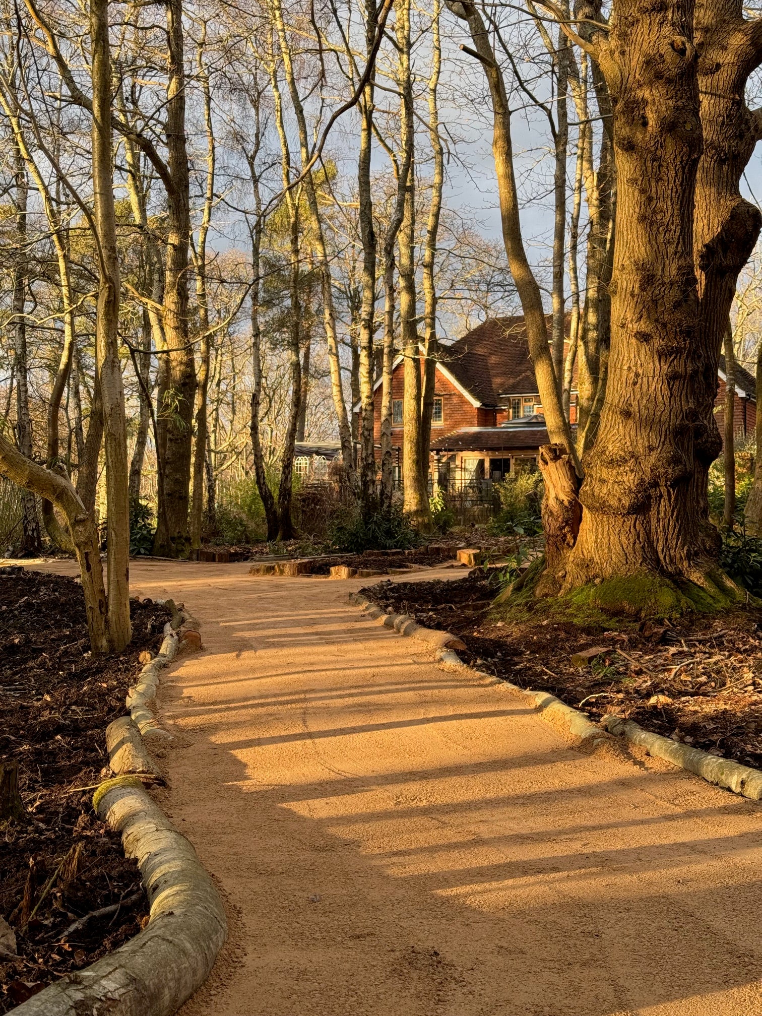 Digital Landscaping Guide - How to Build a Woodland Path - PDF Download