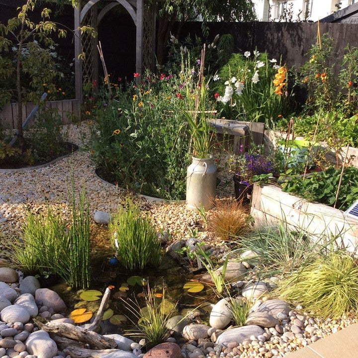 Digital Landscaping Guide - How to Build a Wildlife Pond - PDF Download