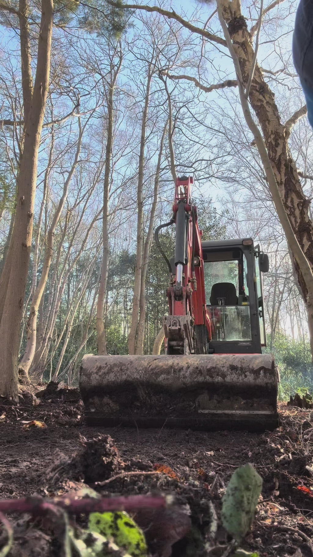 Digital Landscaping Guide - How to Build a Woodland Path - PDF Download